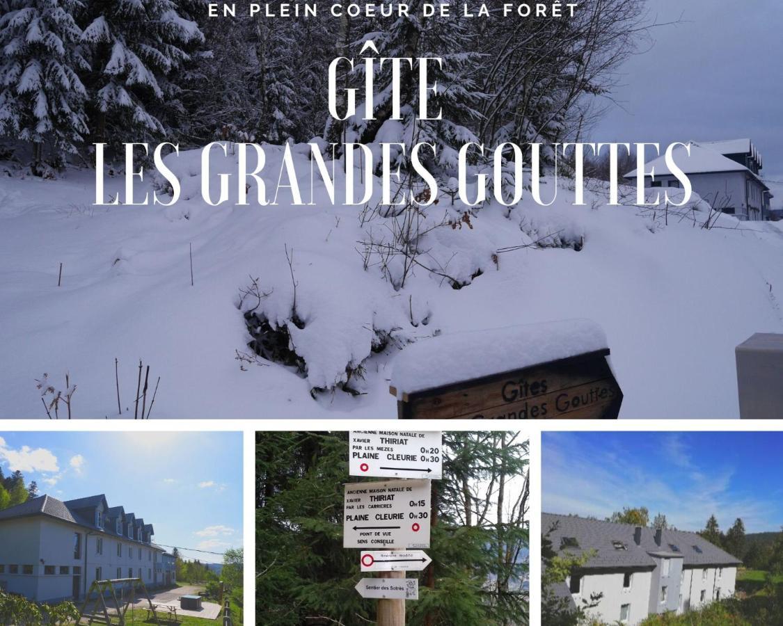 Gites Les Grandes Gouttes Le Syndicat Exteriér fotografie